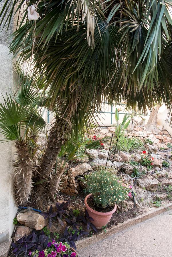 Eshkol Housing Haifa - Luxury Villa Panoramic Sea View Εξωτερικό φωτογραφία